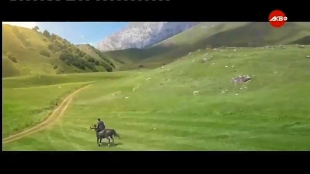 Анзор Бакаев - Лорса Лида