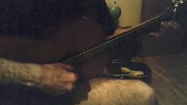 Fado português, guitar solo смотреть онлайн