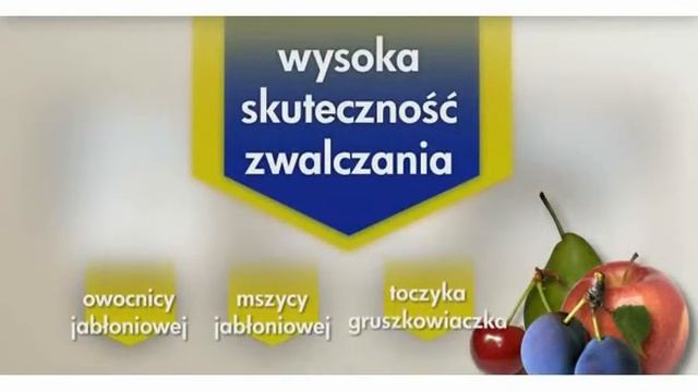 BAYER video calypso смотреть онлайн