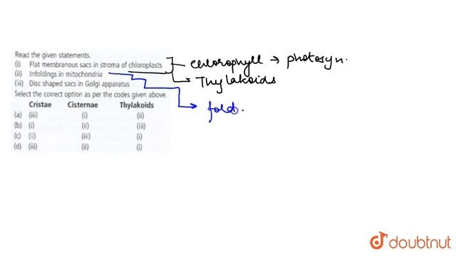 Read the given statements. (i) Flat membranous sacs in stroma of chloroplasts (ii) Infoldings in... смотреть онлайн