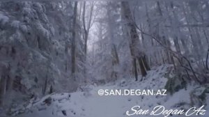 Руслан Ахмадов ХАЗ ЭШАР😍Ц1ена Бу Хьомениг Хьоьга Са Бахна Безам😍