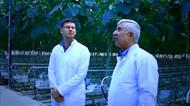 Директор ТК Казагронома о сотрудничестве с Рийк Цваан смотреть онлайн