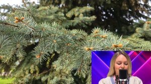 Возвращение. Жизненные истории. Авторские рассказы. Разные Судьбы.