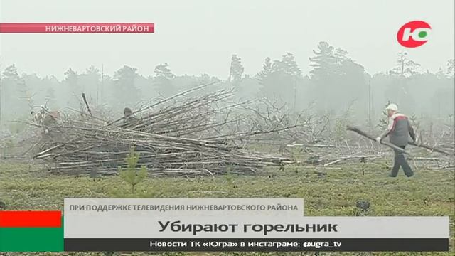Жители Нижневартовского района вышли на уборку горельника смотреть онлайн