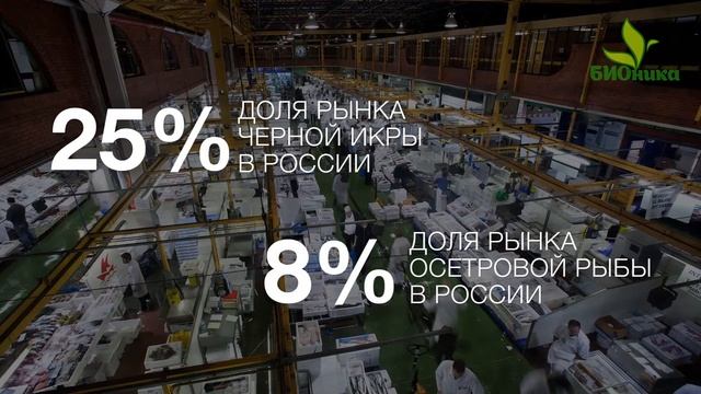 Презентация проекта БИОника смотреть онлайн