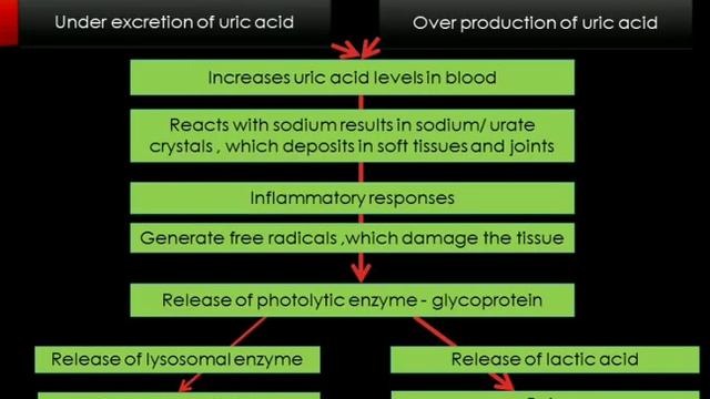 Gout- Definition, Risk factors, Pathophysiology, Clinical features смотреть онлайн