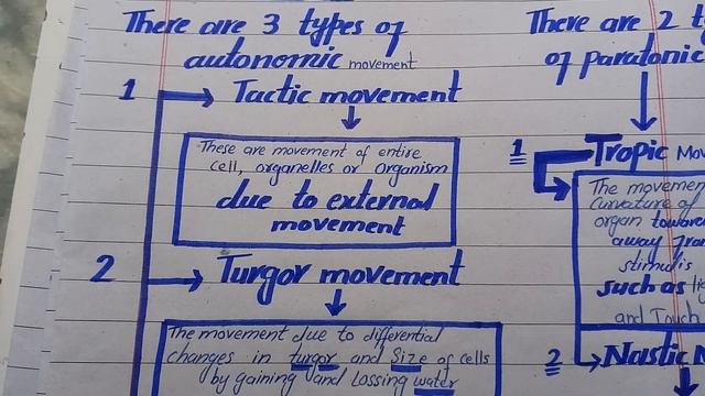 Movement In Plants|Autonomic Movement|Tactic,Turgor pressure & G..... смотреть онлайн