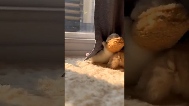 холодает, одевайтесь теплее😊