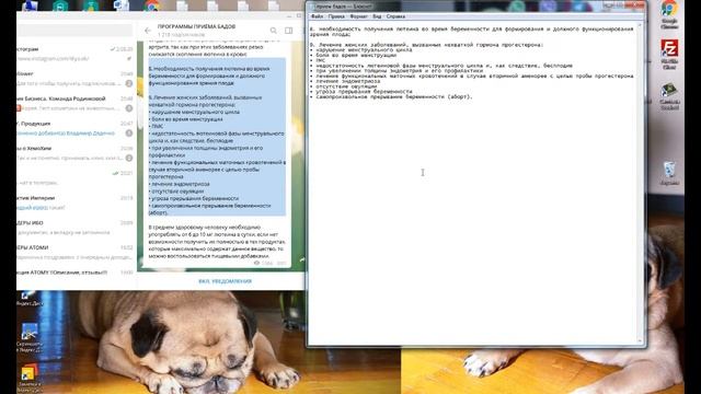 создаем текстовый документ смотреть онлайн