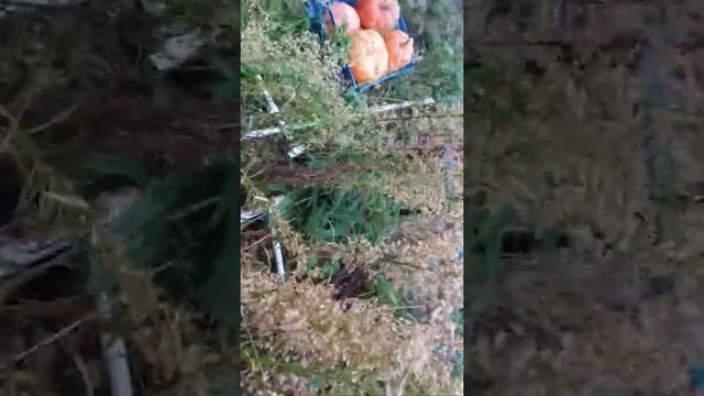 нелегальный переход границы смотреть онлайн