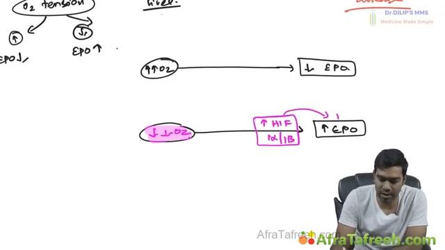 2. Basics Of RBCs - Introduction Atf.mp4