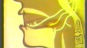 Вкусовой анализатор