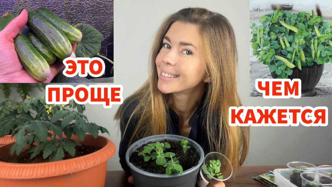 Что легко вырастить в зимнем огороде. Хитрости правильного посева и море пользы смотреть онлайн
