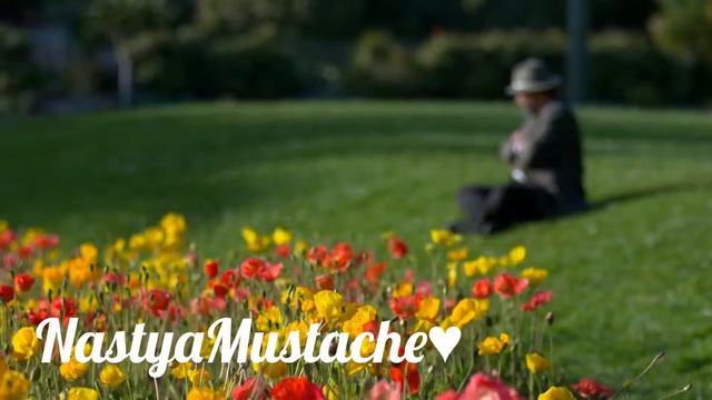 Заставка для видео/Splash screen for video смотреть онлайн