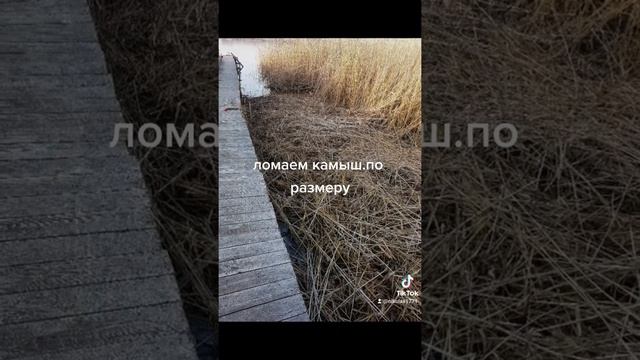 строим мостик причал остров смотреть онлайн