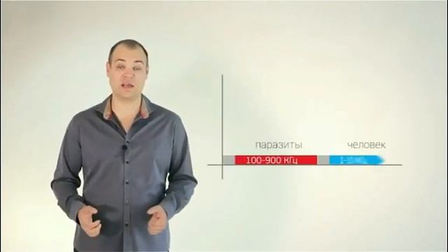 Web Wellness - система для всех и для каждого!