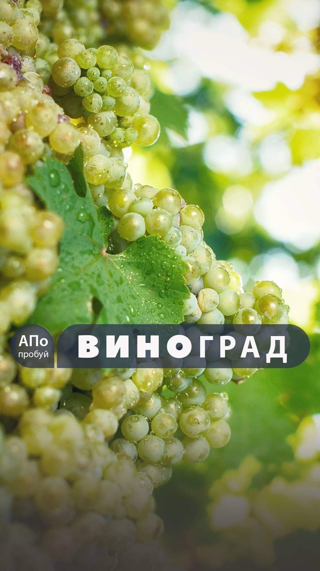 ● ДО 3 сентября! ⦁