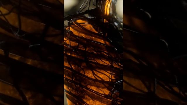 The Wonders of Photosynthesis смотреть онлайн