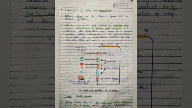 NOTES- B.sc. & M.sc. notes🦋 Ti- plasmid 📚 смотреть онлайн