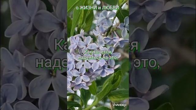 Последний день весны и завтра лето смотреть онлайн