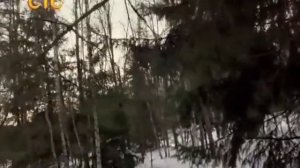 Ангел или демон серия 14