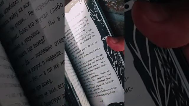 Хоррор для подростков "Пикник в Чумном форту" (презентация книги) смотреть онлайн