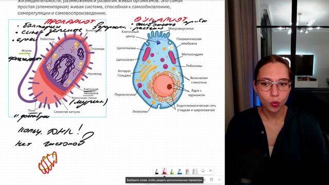 Строение прокариотической и эукариотической клетки. ЕГЭ по биологии