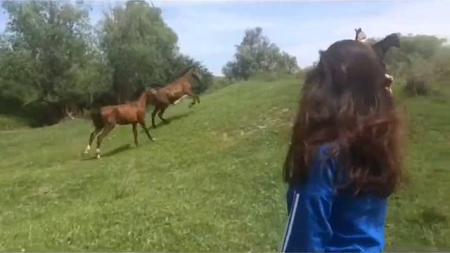 Мен... смотреть онлайн