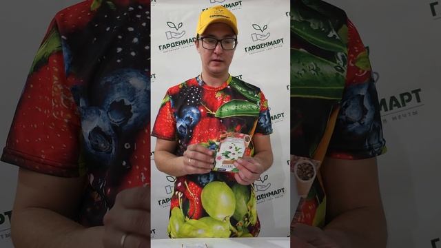 Лекарственные травы. Аптекарский огород #советысадоводам #семеналекарственныхтрав