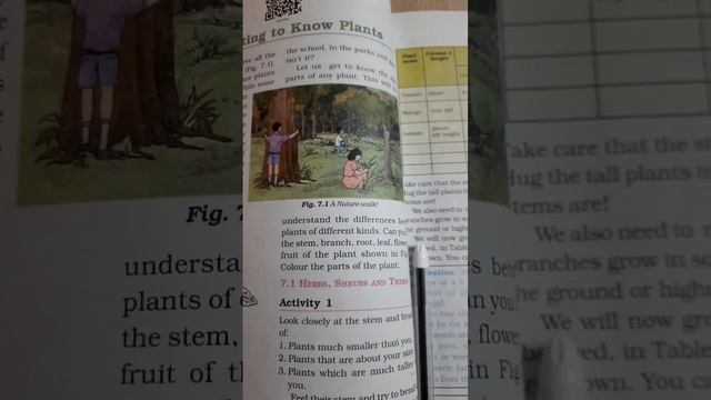 Chapter :-7 Getting To Know Plant :-class 6 Science NCERT