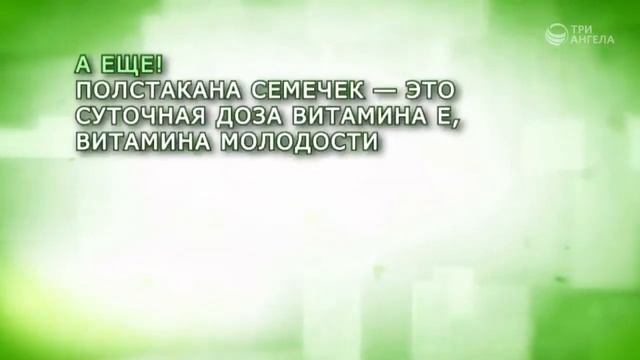 Семечки смотреть онлайн