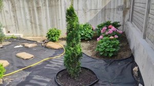 БОРЬБА с СОРНЯКАМ,с помощью геотекстиля!