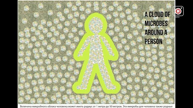 Болезнь и микробиом человека