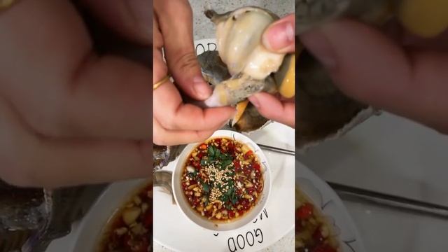 Amazing Seafood-مأكولات بحرية مذهلة놀라운 해산물.