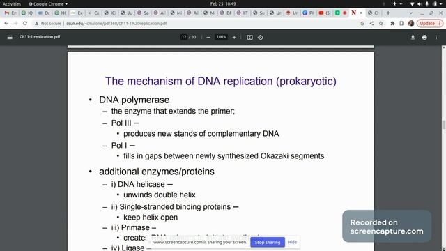 DNA Replication #2023 #dna #replication #biology