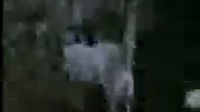 Volk 12 смотреть онлайн