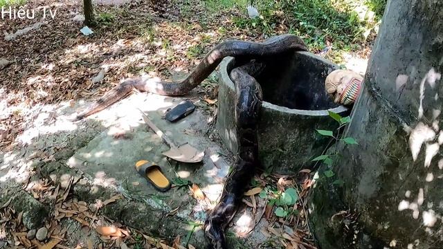 Hieu Vlogs | Hunter fights 1000 year old Fox monster Cannibal Horror in Abandoned House смотреть онлайн