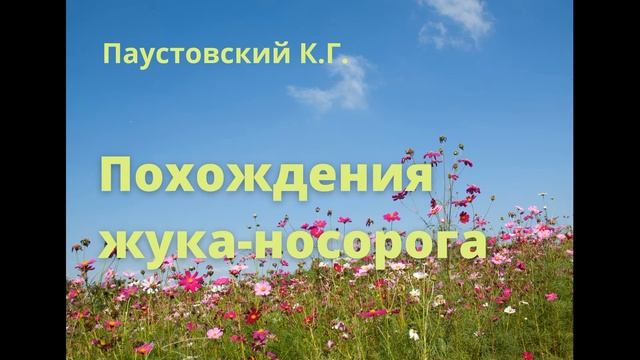 Похождения жука носорога смотреть онлайн
