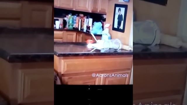 Продолжение сказки смотреть онлайн