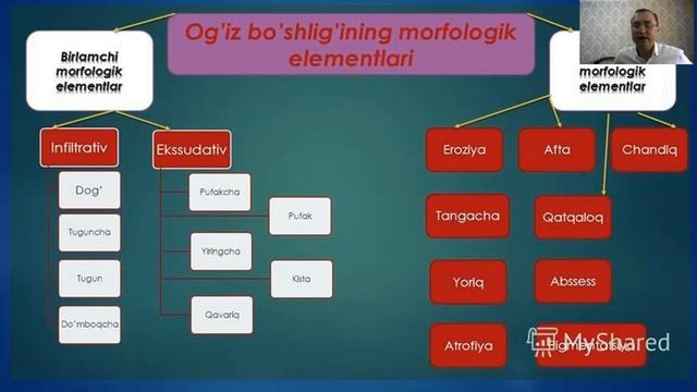 Og'iz Bo'shlig'i Shilliq Parda Kasalliklari Tasnifi, To'qimalarda Rivojlanadigan Patologik