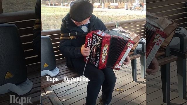 Виктор Попов на миди гармошке 09.11.24.mp4