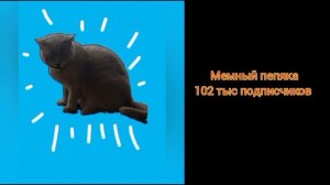 блогеры по подписчикам