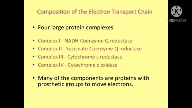 ETC- Electron Transport Chain