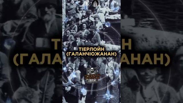 Диалекты Чеченцев! #чечня #чеченцы #грозный #чечнягрозный #история #языки смотреть онлайн