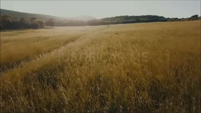 LEGENDADO - Sou servo inútil - Meire e Tiele com Ir. Moisés - 260 CCB смотреть онлайн