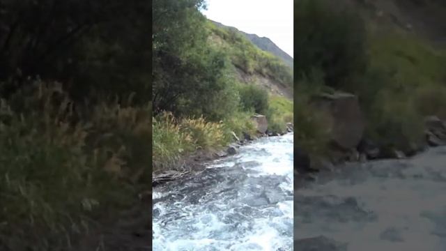 Рыбалка в горах Чечни 116 смотреть онлайн