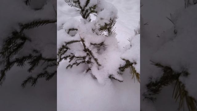 Музыка. Фонетика Ютуб. смотреть онлайн