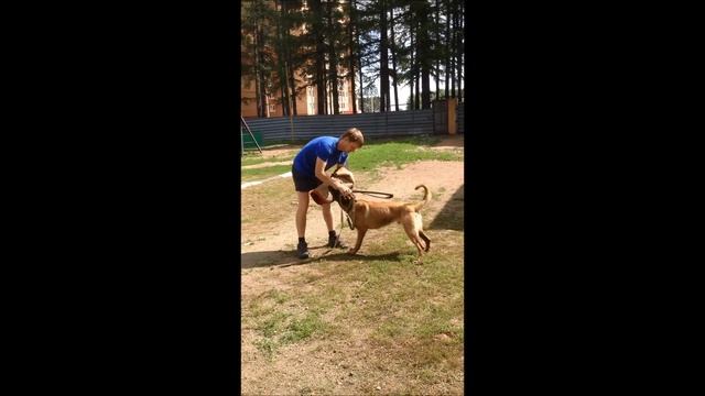 Проверка пригодности к служебному использованию