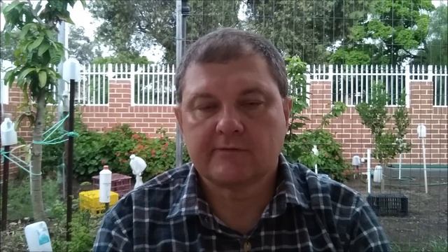 Почему я критикую Австралию или хвалю Россию. [1Australia]#1788 смотреть онлайн