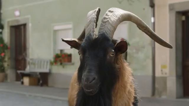 02 04 2018 Kozel Football 30 2